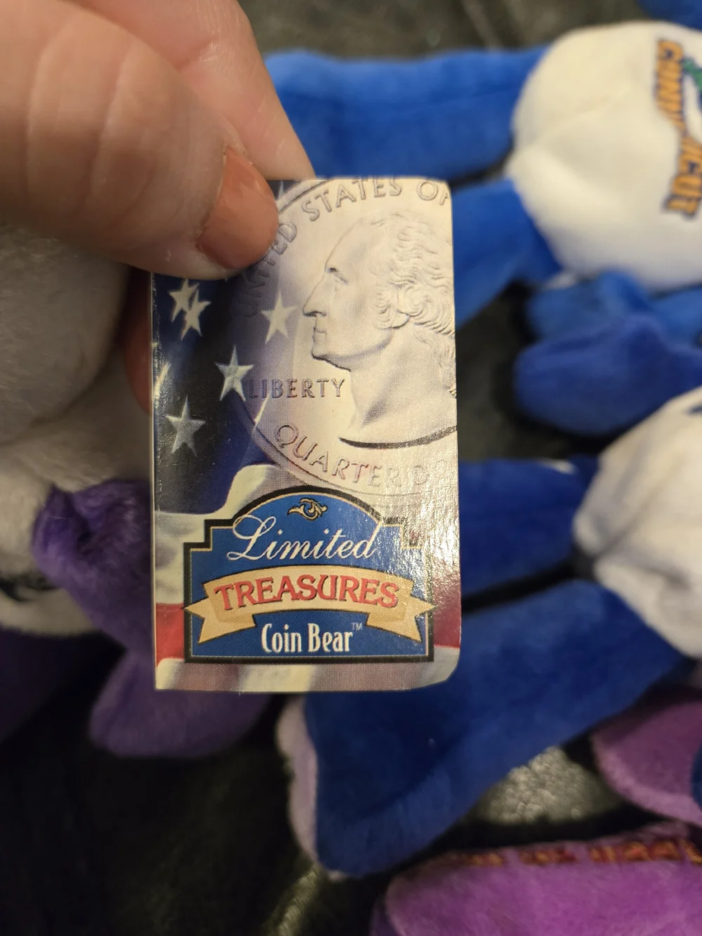 Limited Edition State Quarter Coin Bears – Collectible Plush  – Good - Picture 8 of 9